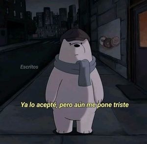 Meet your Posher, Benjamin